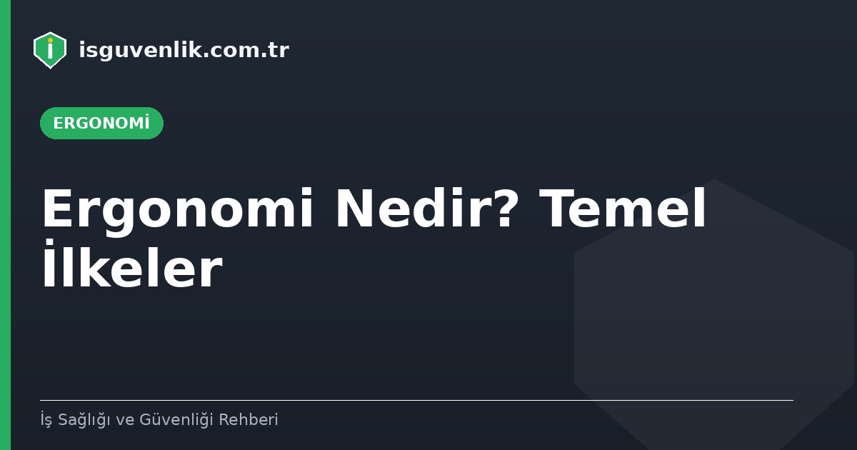 Ergonomi Nedir? Temel İlkeler
